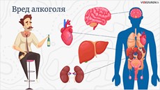 Влияние алкоголя на человека